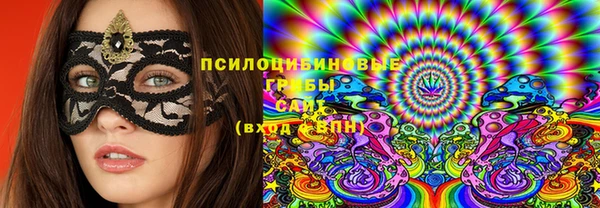 прущие крисы Абаза