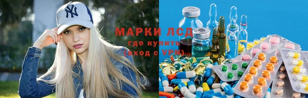прущие крисы Абаза