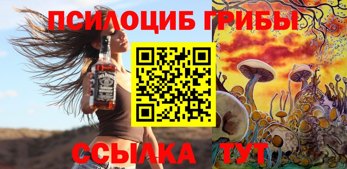 Нефтеюганск  дарнет шоп  Вход с VPN  Галлюциногенные грибы Cubensis 